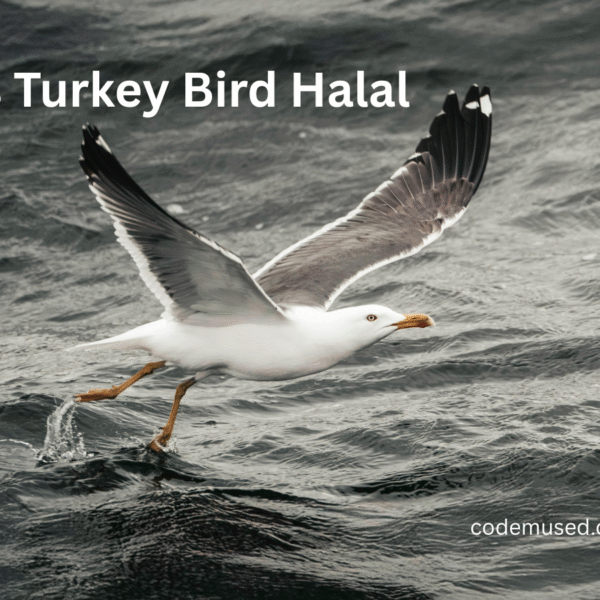 is turkey bird halal