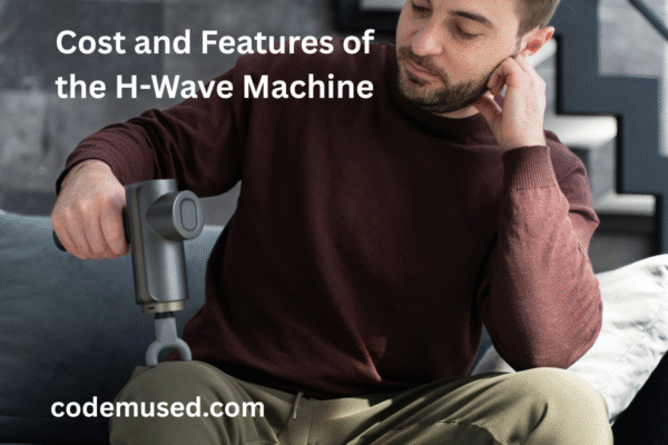 The Cost and Features of the H-Wave Machine