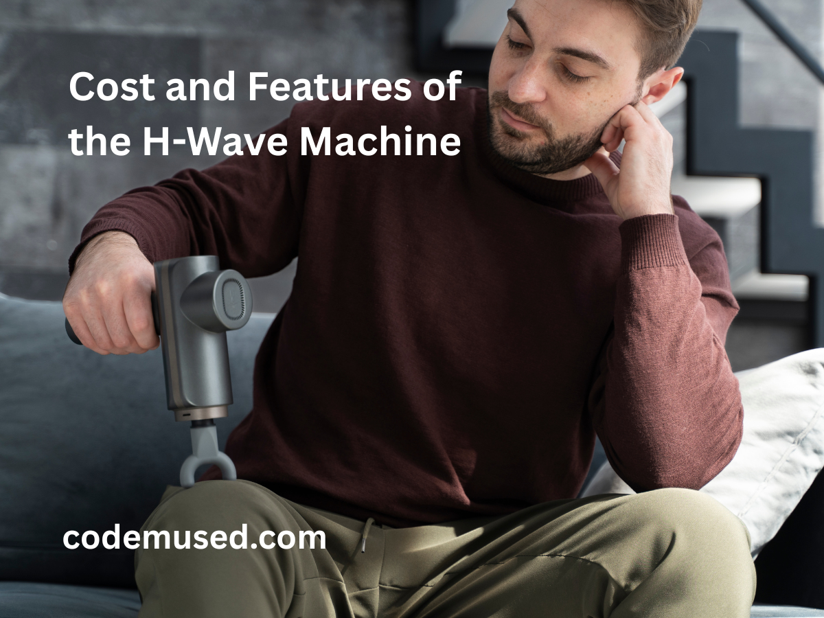 The Cost and Features of the H-Wave Machine