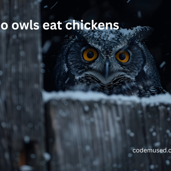 do owls eat chickens