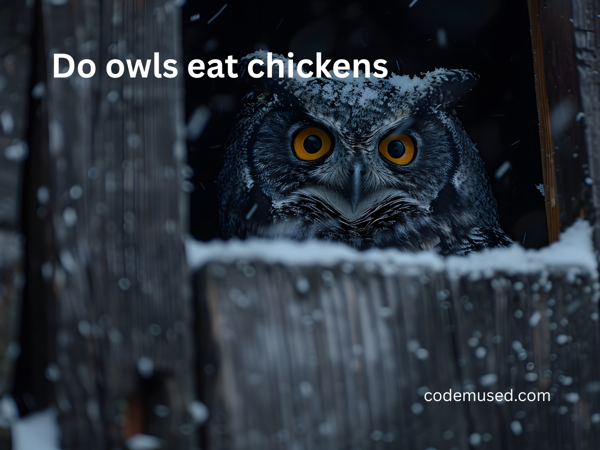 do owls eat chickens